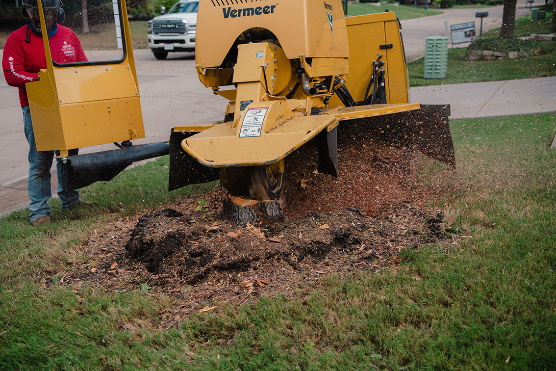 Large Stump Grinding