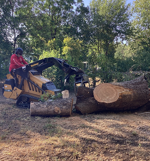 24 Hour Tree Removal