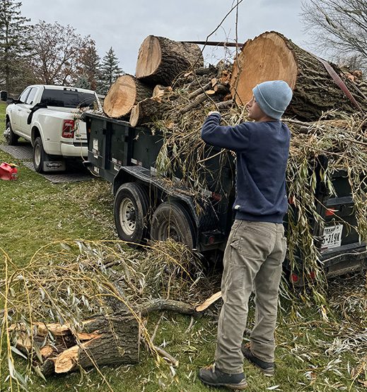 24 Hour Storm Cleanup Tree Removal