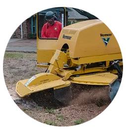 Stump Grinding