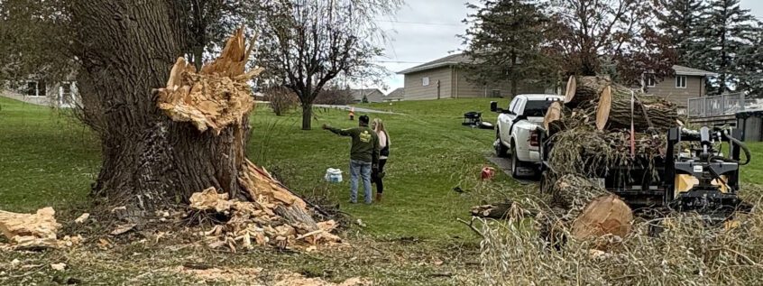 Large limb broke in storm, Large Tree Removal