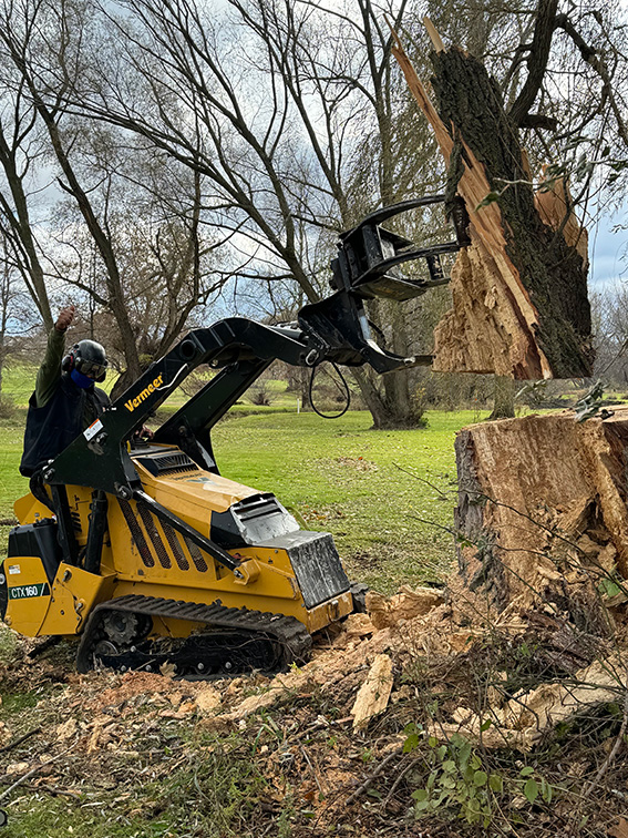 Sheboygan Falls, Wisconsin Tree Removal